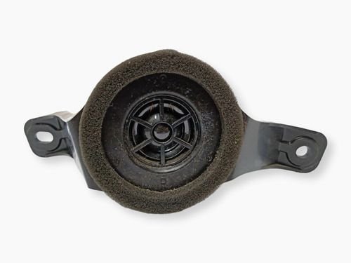 Twitter Porta Dianteiro Toyota Rav4 Direito 2009 2010 2012