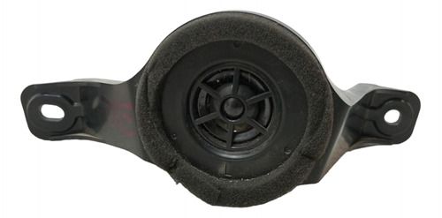 Twitter Porta Diant Esquerda Toyota Rav4 2009 2010 2011