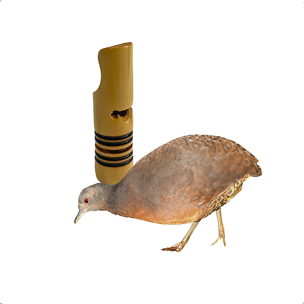 Apito inhambu-açu n°05