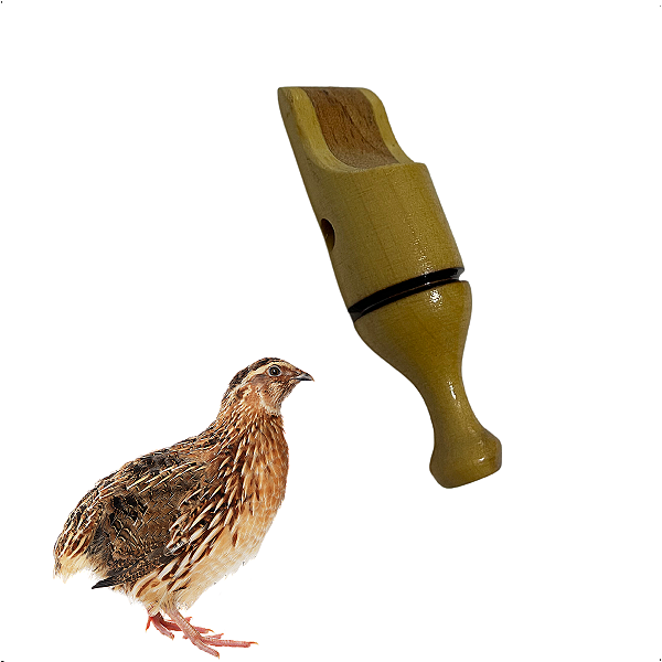 Apito codorna profissional