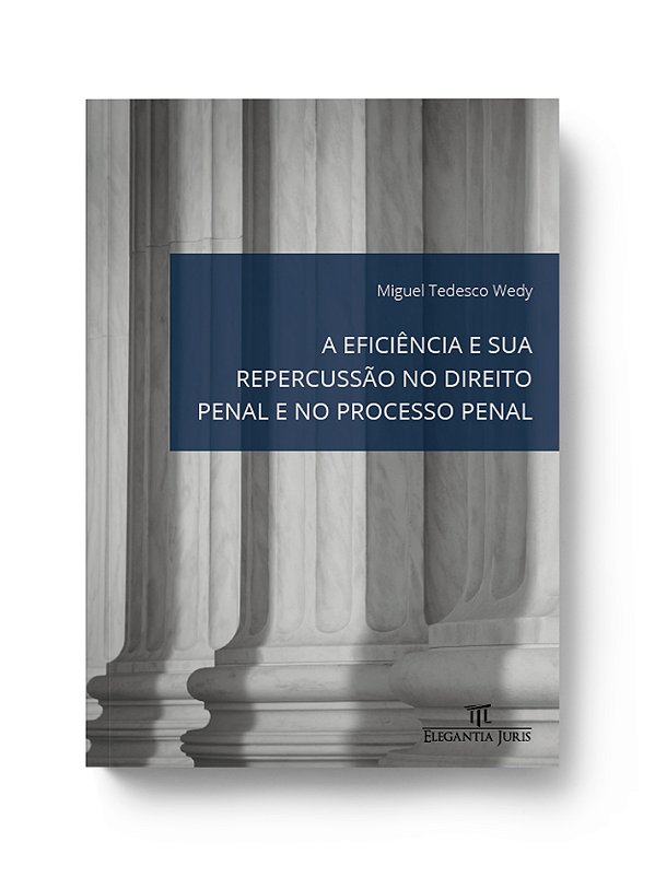 A EFICIÊNCIA E SUA REPERCUSSÃO NO DIREITO PENAL E NO PROCESSO PENAL