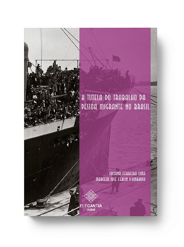 A TUTELA DO TRABALHO DA PESSOA MIGRANTE NO BRASIL