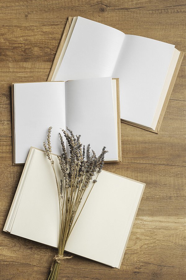 EDITORA ASSISTENTE PARA PERIÓDICOS CIENTÍFICOS