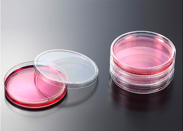 Placa de Petri 60x15mm descartável estéril - pacote 10 unidades