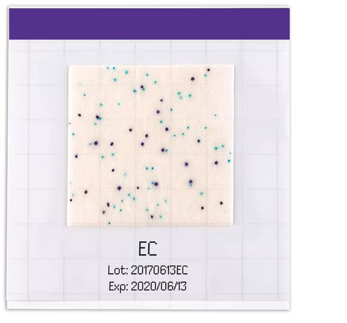 MC-MEDIA PAD E. COLI & COLIFORMES - 100 testes