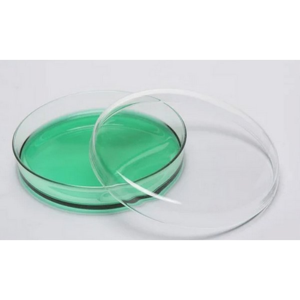 PLACA DE PETRI VIDRO 60x15MM