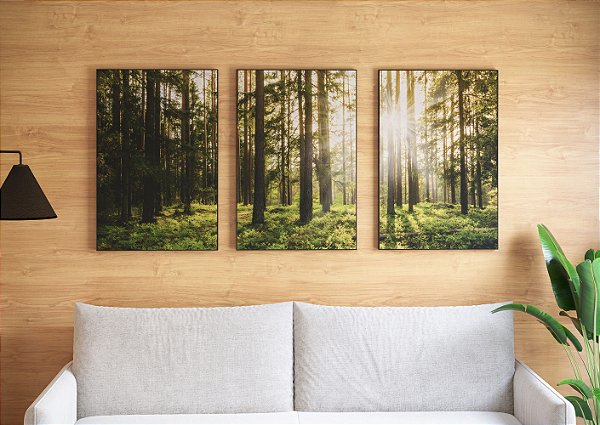 Kit 3 Telas Decorativas com Moldura - 004