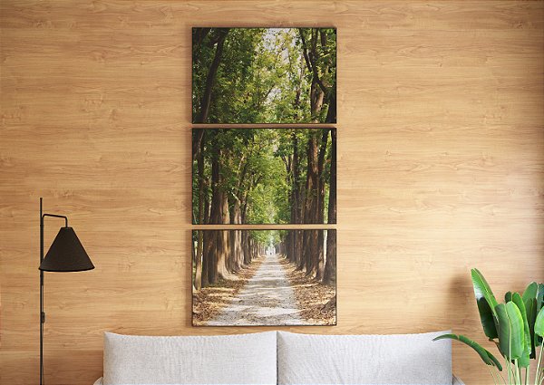 Kit 3 Telas Decorativas com Moldura - 005