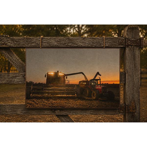 Quadro Colheitadeira e Trator - 60 x 90 cm - Moldura De Couro