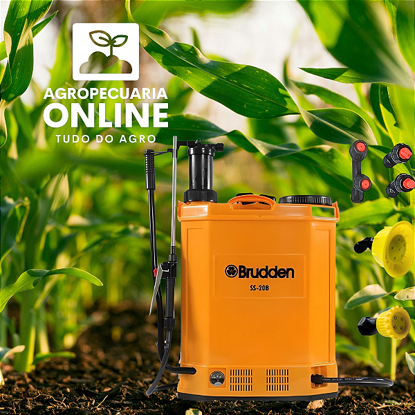 Pulverizador Costal Manual E Elétrico A Bateria Brudden Ss20-b