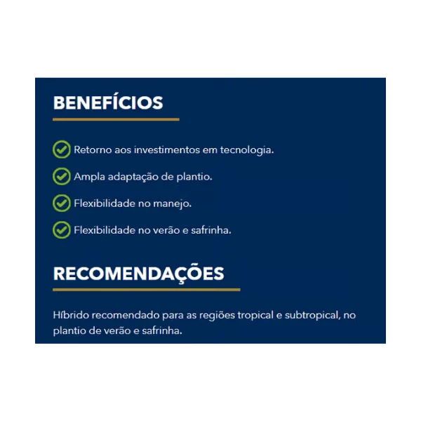 Semente de Milho 30A95PWU RA Cor Max 60 MS S/TS
