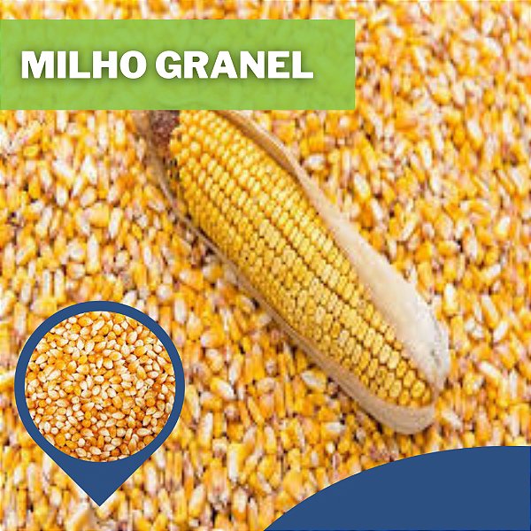 Milho Inteiro a Granel