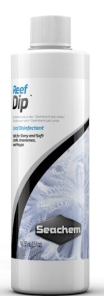 Reef Dip