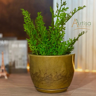 Vaso para Plantas em Polietileno Redondo Bojo Liso P