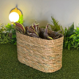 Cesta Oval de palha de taboa 40x25