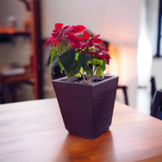 Vaso para Planta em Polietileno Coluna Quadrada com prato