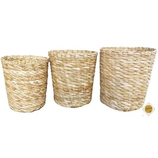 Kit com Vasos Afunilados P M G