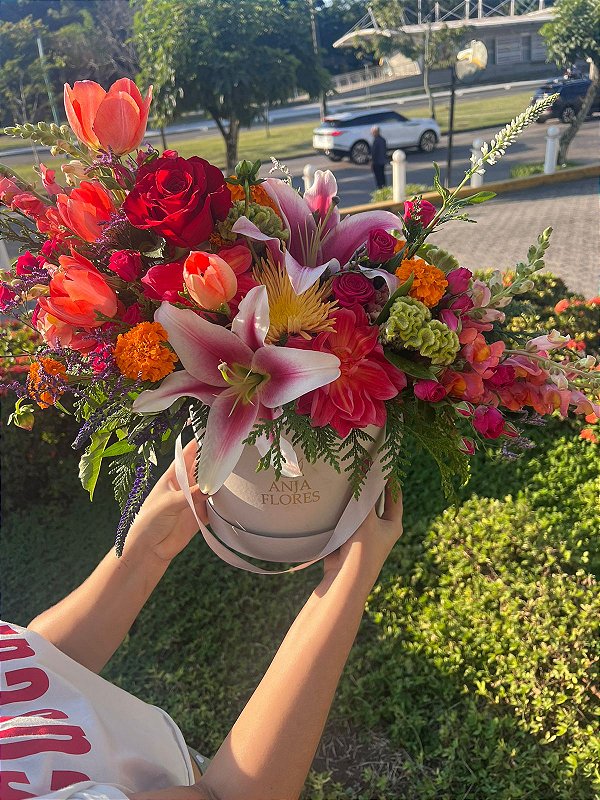 Box Elegance Média Cinza M