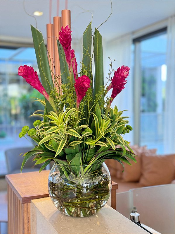 Arranjo Alpínea tropical