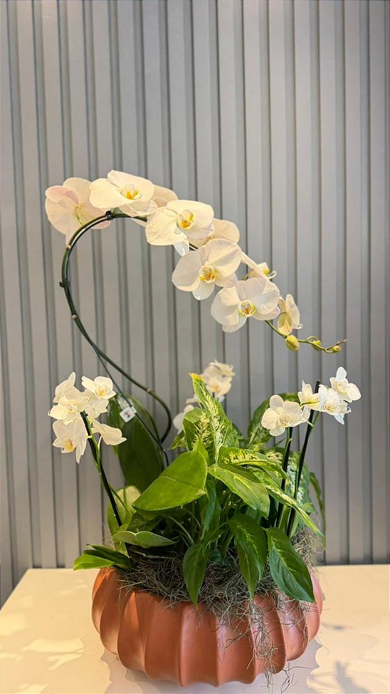 Arranjo de orquídeas premium