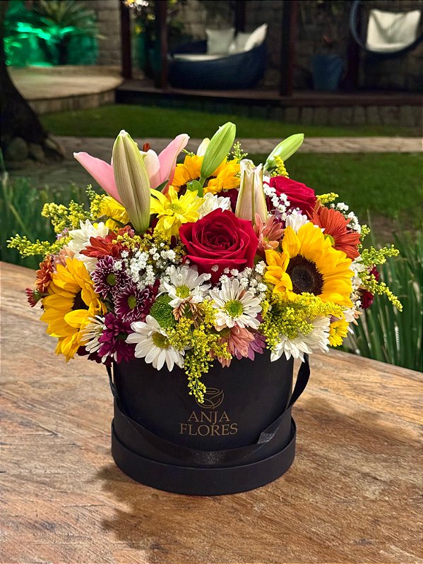 Box Luxo campestre M