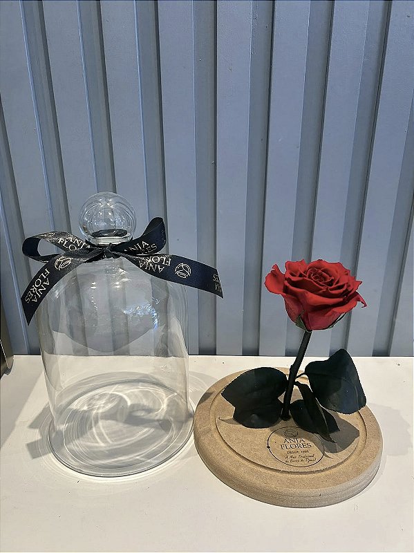 Rosa preservada com caule (Dura de 2 a 8 anos)