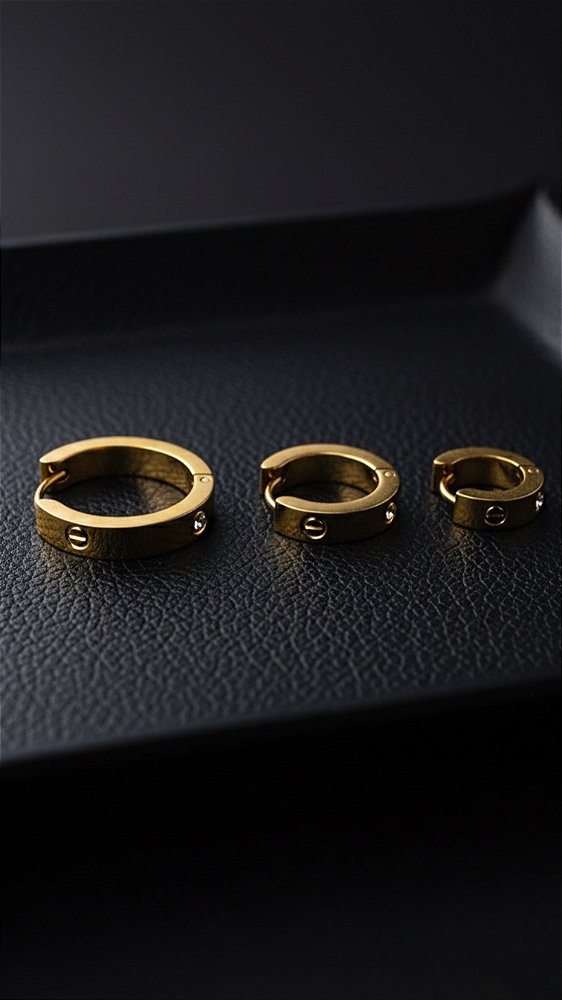 Brinco Trio Argolas Insp Cartier Zircônia Aço Dourado