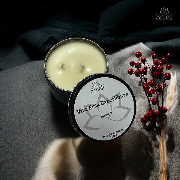 VELA AROMATICA BRISA - VIVA ESSA EXPERIÊNCIA -  100% CERA VEGETAL - VEGANA - 100G - SMELL