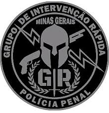 BREVÊ EMBORRACHADO GIR- POLÍCIA PENAL MG (monocromático)