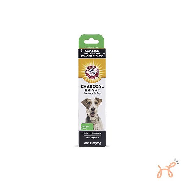 Pasta de Dentes Enzimática para Cães Clareadora Charcoal Bright Sabor Menta - Arm & Hammer