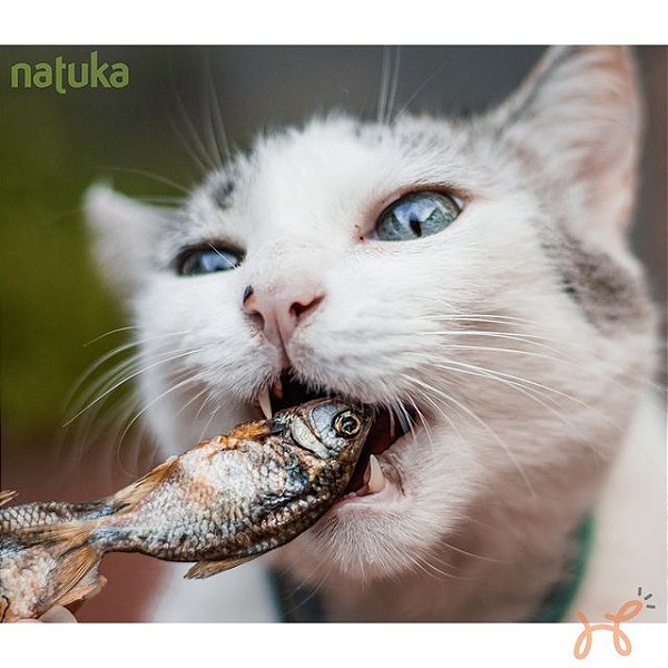 Petisco para Cães e Gatos Piabas 60gr - Natuka