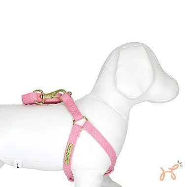 Conjunto Peitoral Americano e Guia Rosa - Pata Chic
