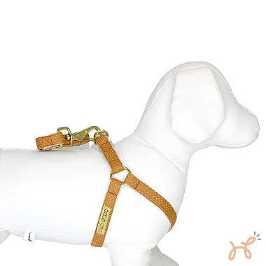 Conjunto Peitoral Americano e Guia Ocre - Pata Chic