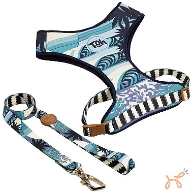 Conjunto Peitoral Neoconfy e Guia Noronha - Toh