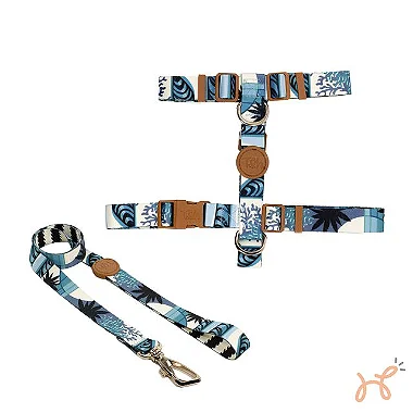 Conjunto Peitoral H e Guia Noronha - Toh