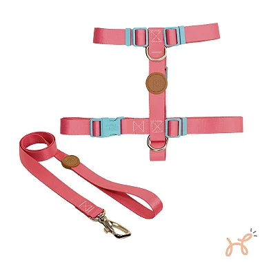 Conjunto Peitoral H e Guia Fiji -Toh
