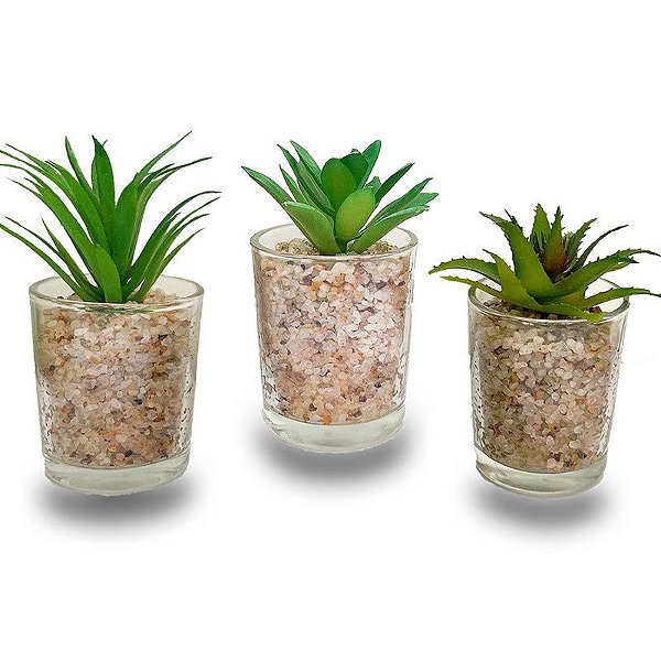 TRIO DE SUCULENTAS NO VASO DE VIDRO PARA DECORAÇÃO