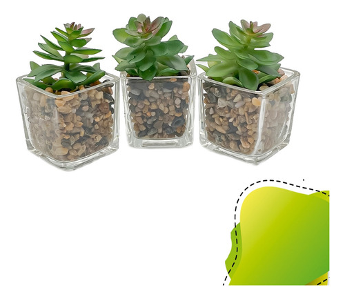 Trio De Suculentas C/ Vaso De Vidro Decoração Home & Living