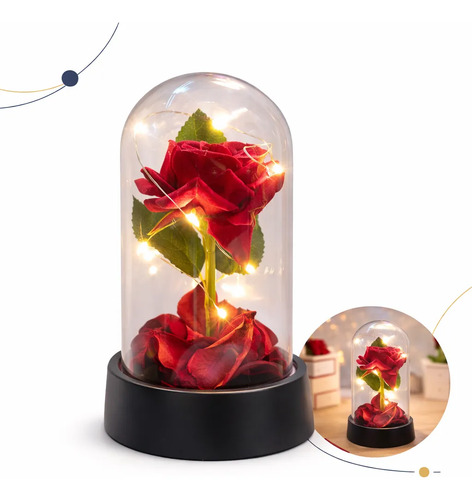 Rosa Encantada Iluminada Pétalas Caídas Luminária Decorativa