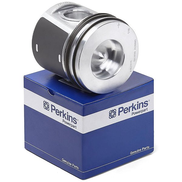 T426391 - Kit pistão