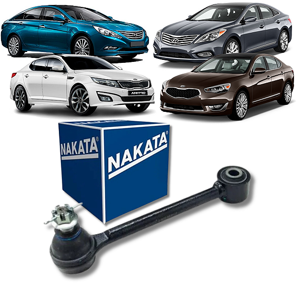 BRAÇO RETO PIVO TRASEIRO AZERA SONATA OPTIMA CADENZA 2010 2011 2012 2013 2014 2015 2016 NAKATA