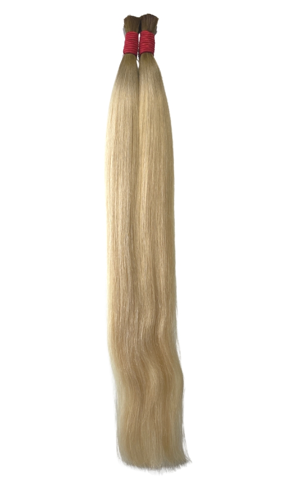 Liso Natural Loiro com a Raiz Esfumada Dourada - Vietnamita (50g cada unidade)