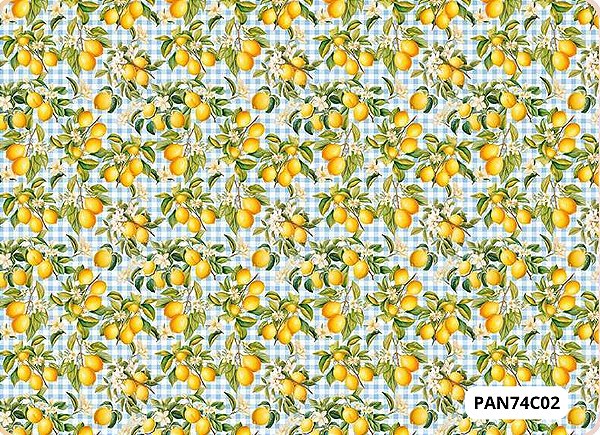 TRICOLINE DIGITAL 100% ALGODÃO ESTAMPADA 3D FRUTAS 0,50cm x 1,50m | PAN74C02
