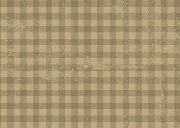 TECIDO TRICOLINE DIGITAL 100% ALGODÃO  ESTAMPADO  XADREZ 0,50cm X 1,50m | 93673C02