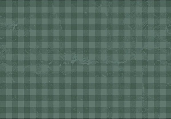 TECIDO TRICOLINE DIGITAL 100% ALGODÃO  ESTAMPADO  XADREZ 0,50cm X 1,50m | 93673C04