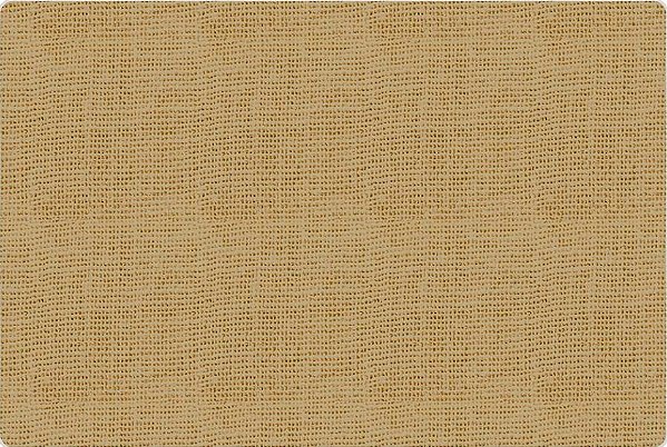 TRICOLINE DIGITAL 100% ALGODÃO ESTAMPADA TEXTURA LINHO 0,50cm X 1,50m | 93648C03