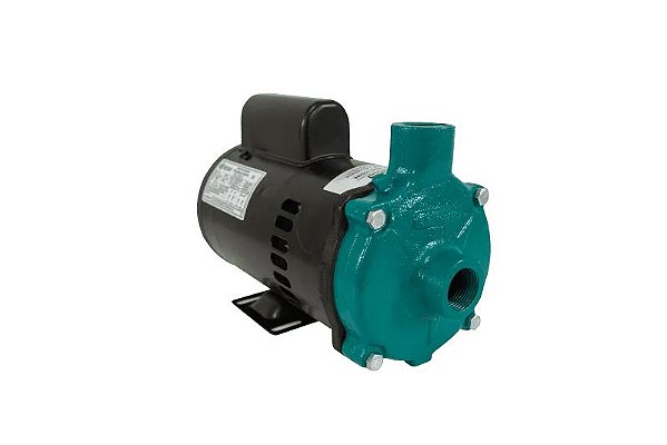 Motobomba Centrífuga Standard ECS-33ME 1/3CV 60Hz Bivolt Eletroplas