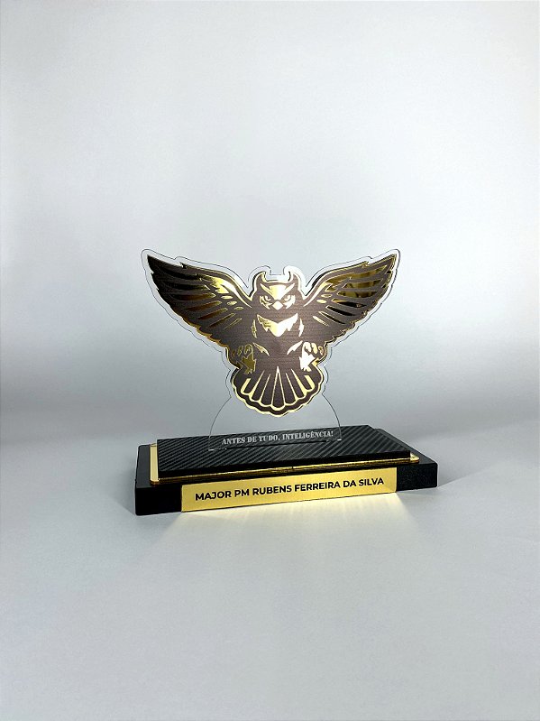 HOMENAGEM MILITAR INTELIGÊNCIA