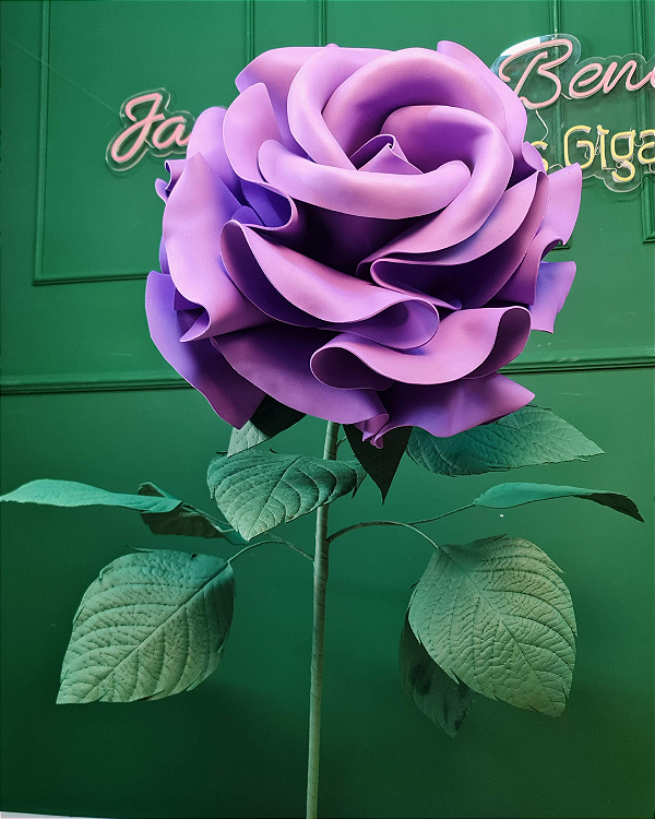 Rosa Sophie