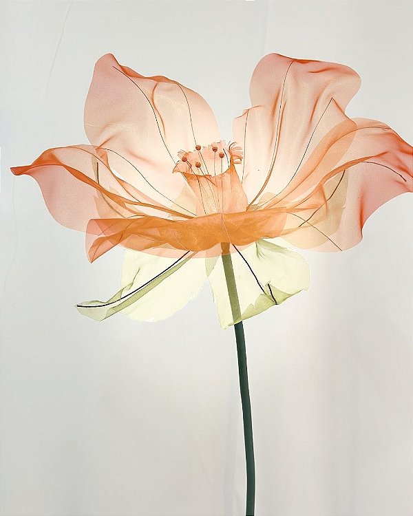 Narciso em Organza | 1 Flor
